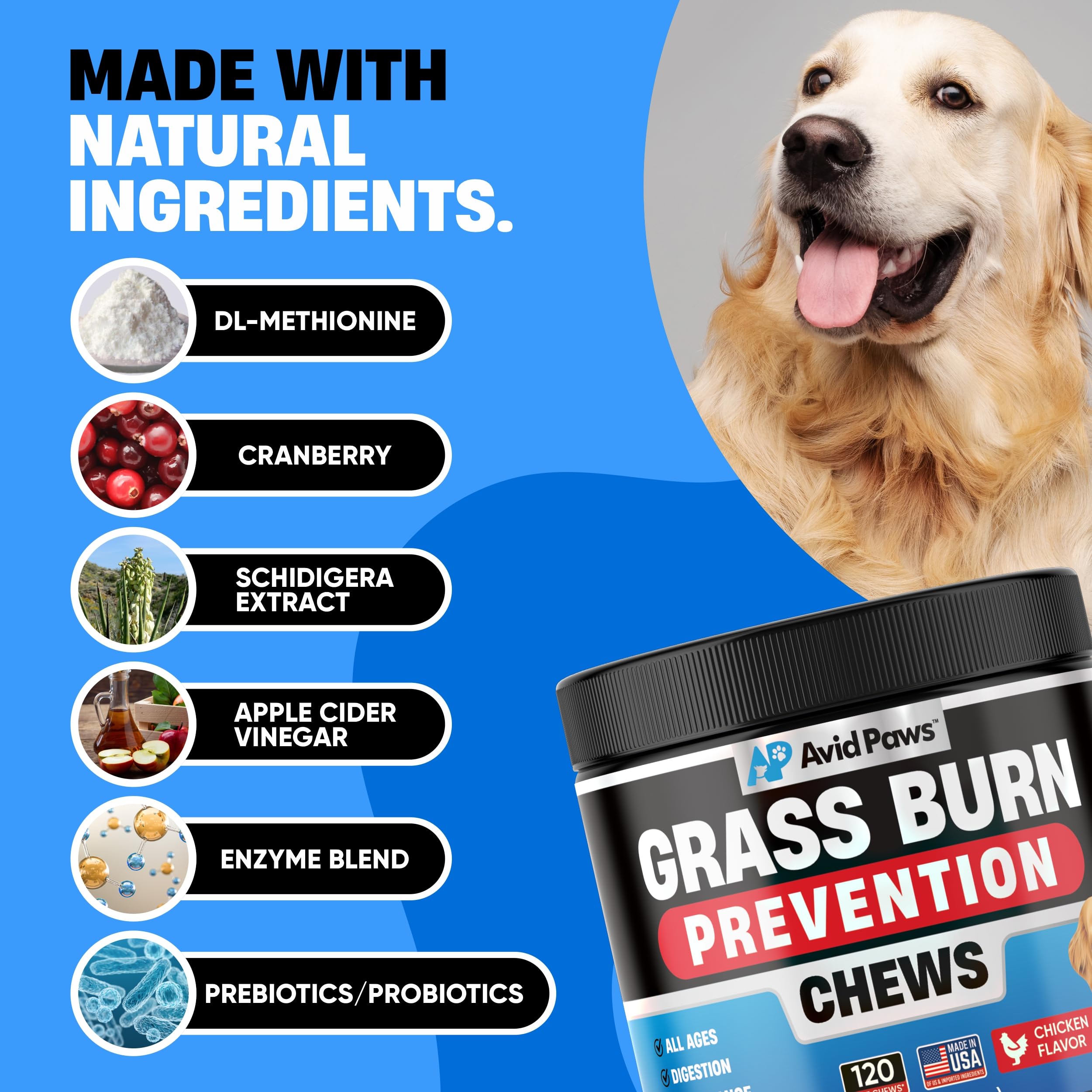 Avid Paws Enzyme and DL-Methionine blend image for healthier lawn and pet vitality