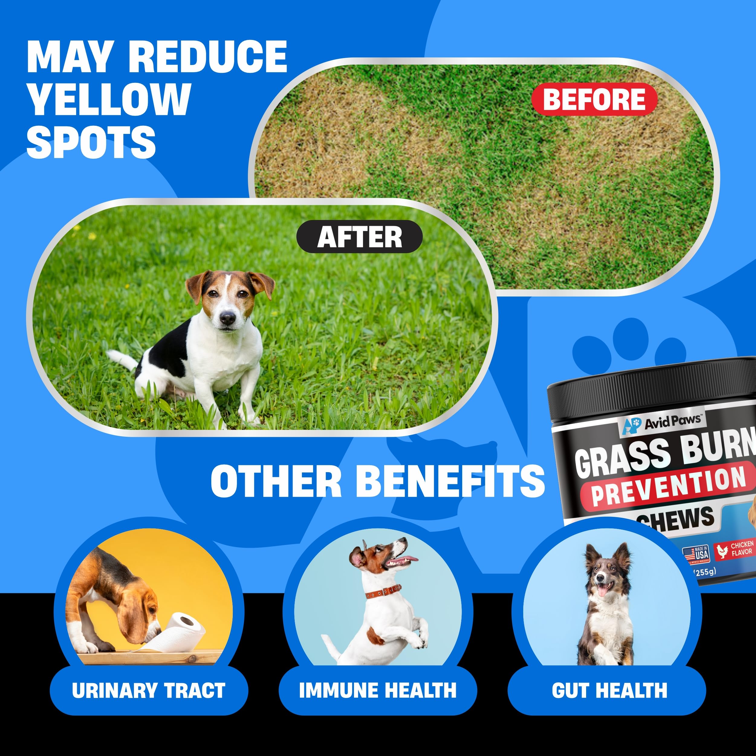 Avid Paws Green Grass Chews closeup with chicken flavor appealing to dogs daily protection