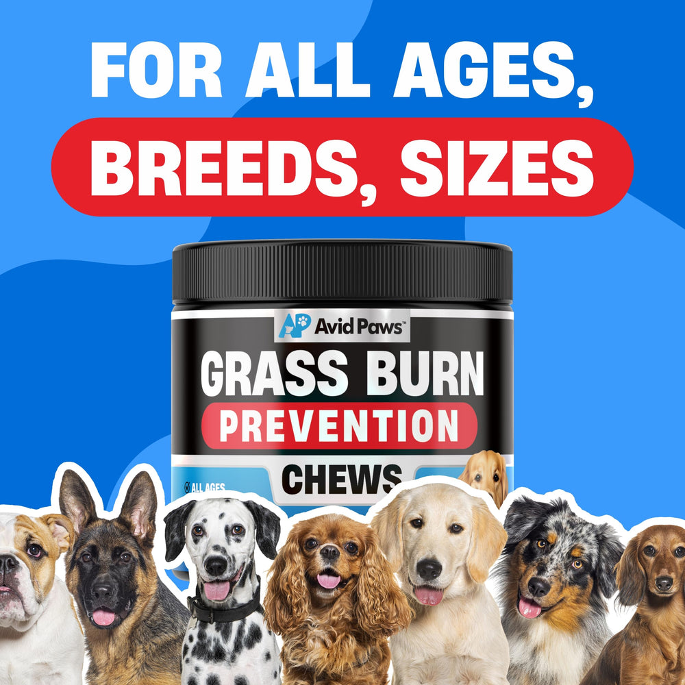 Avid Paws Tasty chicken-flavor chews for easy daily dog protection
