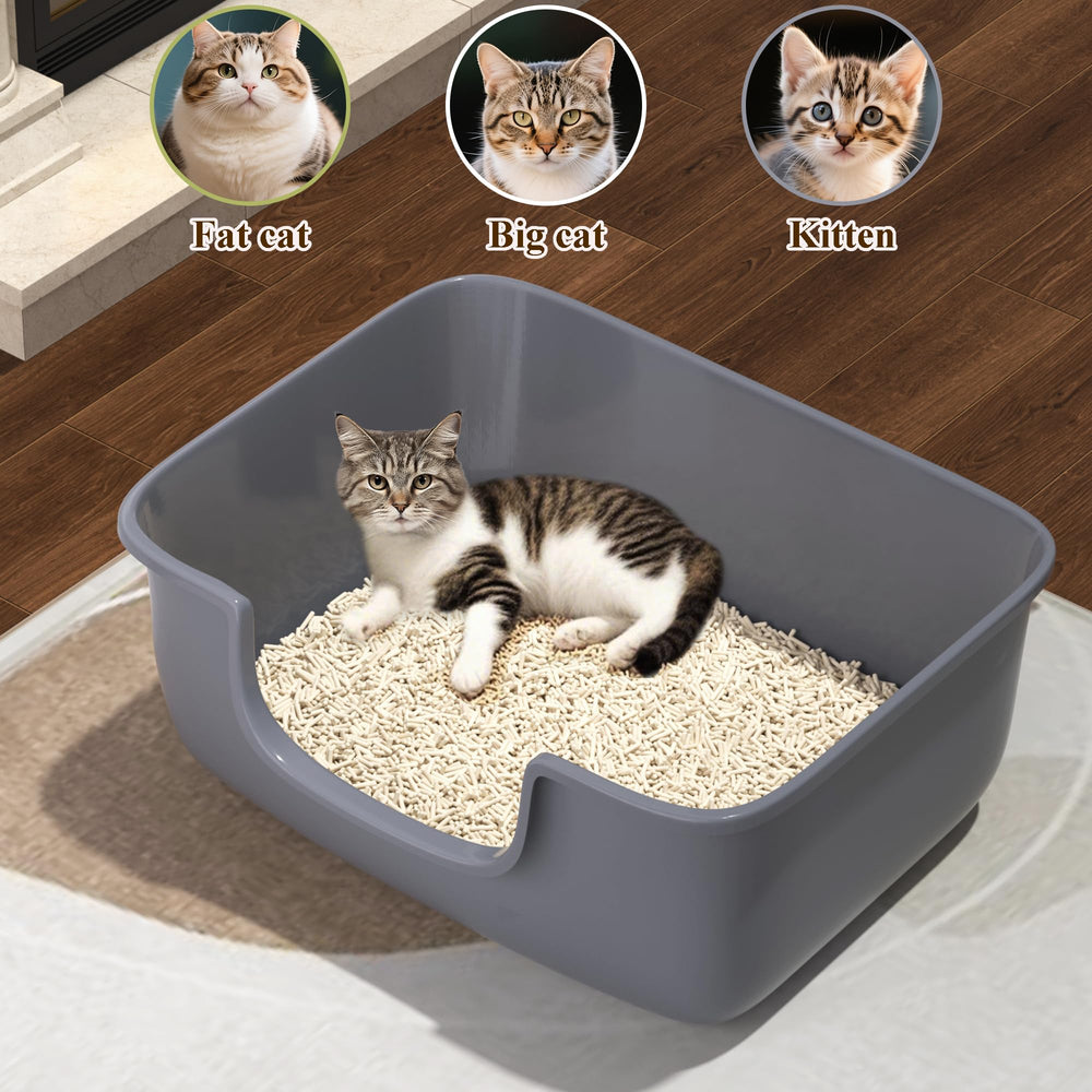 AVIUIA durable PP resin litter box BPA-free and long-lasting.