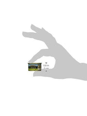 AvoDerm grain-free cat food ingredients label showing clean ingredients