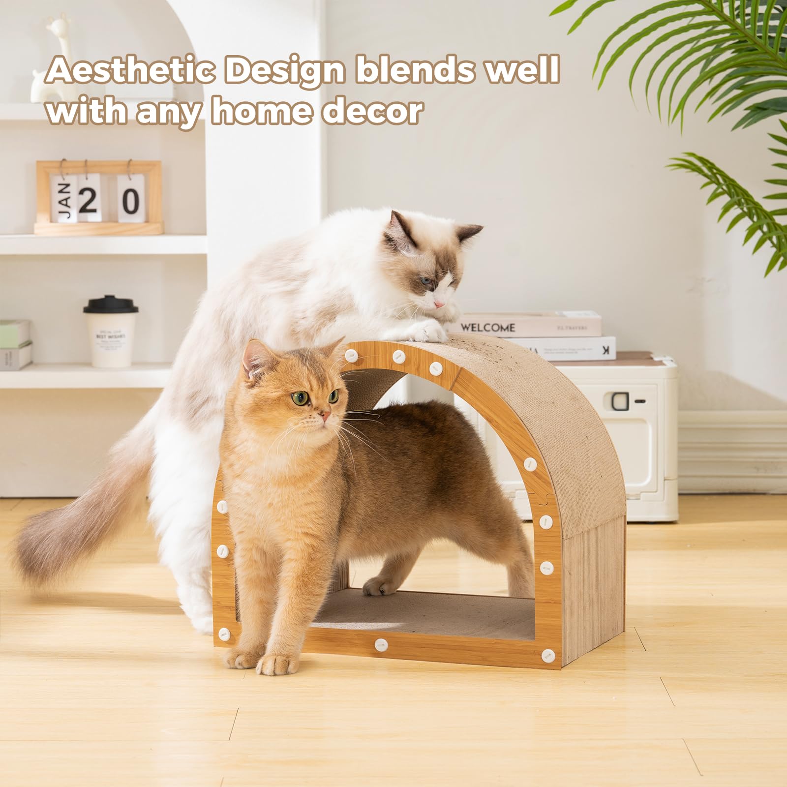 Avont Cardboard Scratcher House interior with scratch surface inviting kittens to scratch.