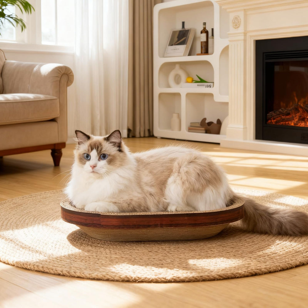 Avont bowl-shaped cat bed provides a snug resting spot during play.