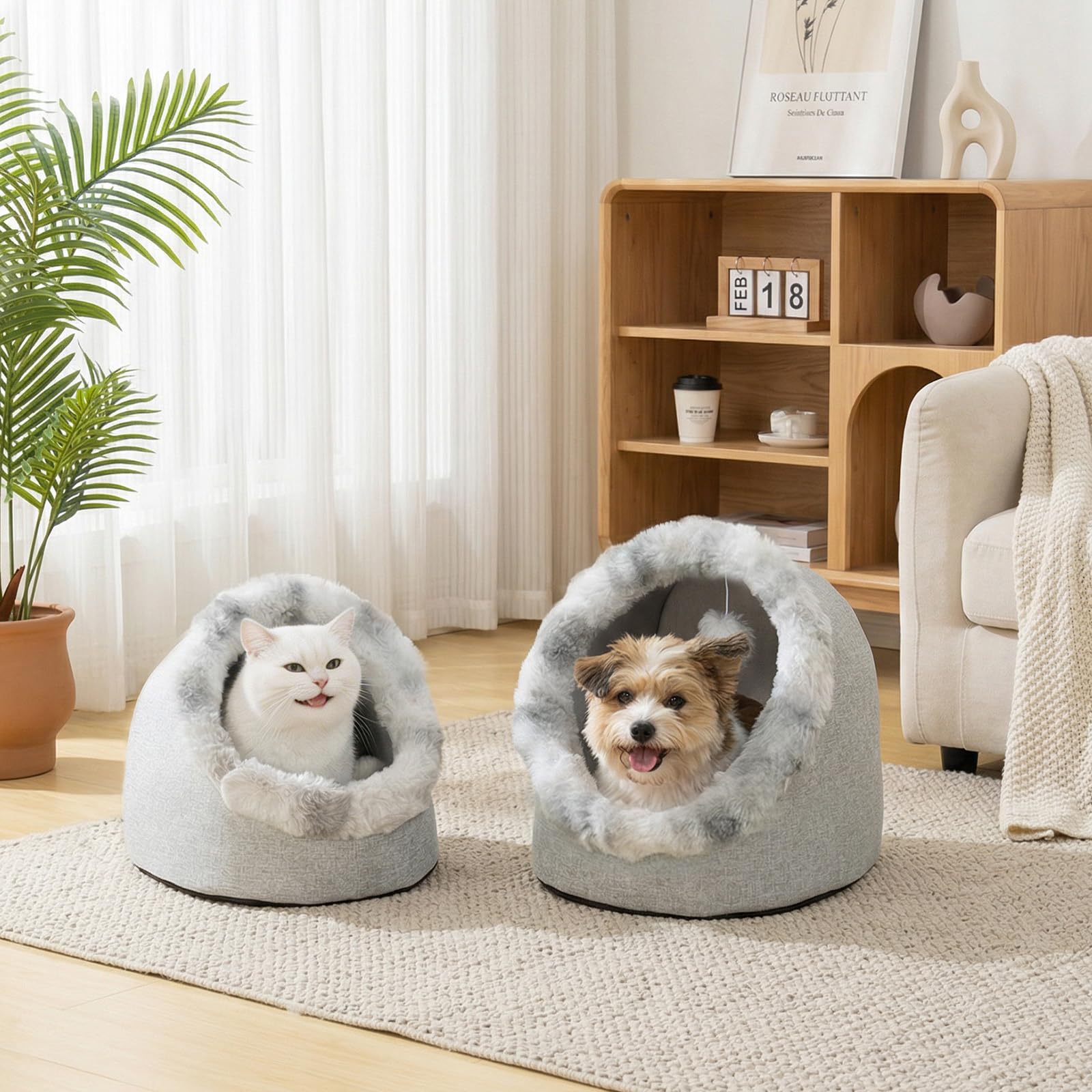 Avont cat bed cave vacuum-sealed packaging and expansion guidance.