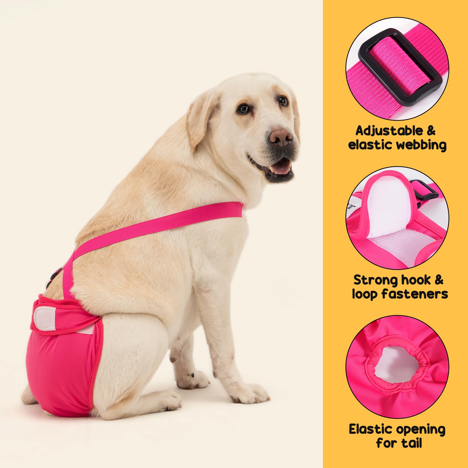 Avont diaper on a dog during heat cycle highlights absorbent padding for protection.
