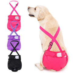 Avont dog diaper front view showcases secure washable strap-on fit.