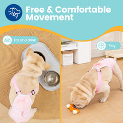 Avont Frenchie dog diapers adjustable straps closeup, longer Velcro for a better hip fit.