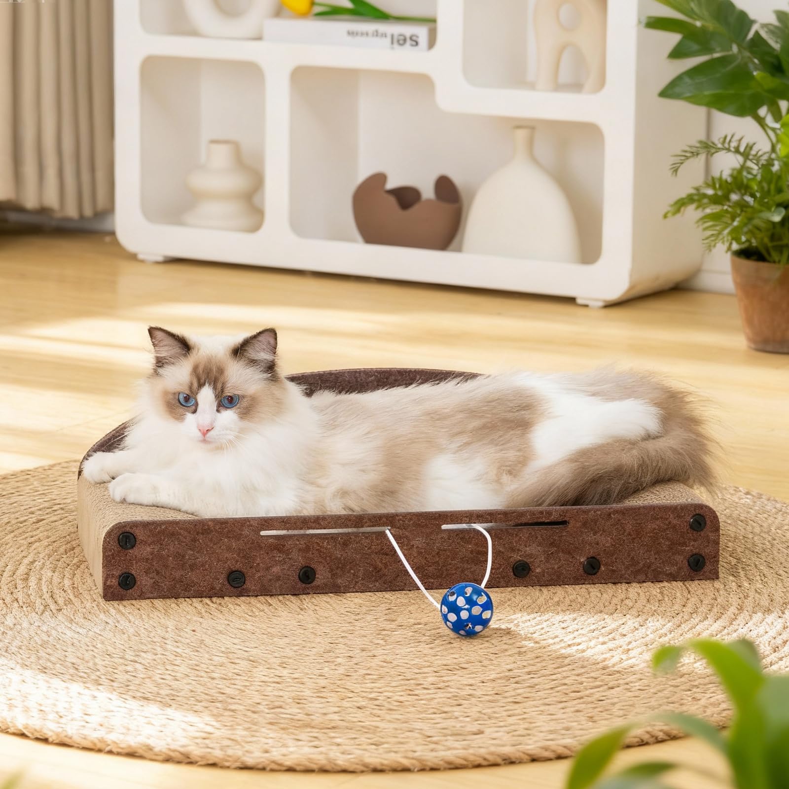 Avont large scratcher lounge invites stretching and lounging in one piece.