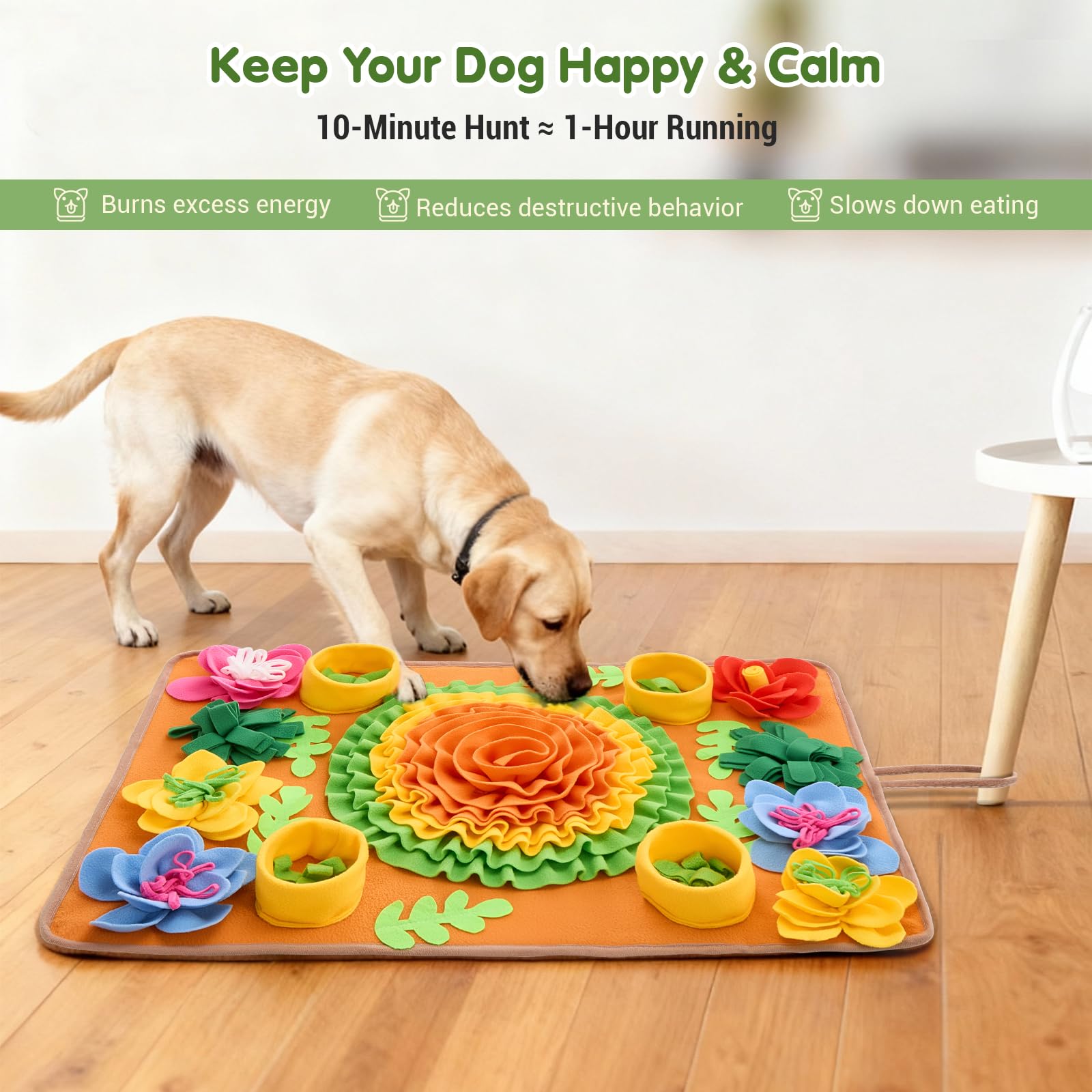 Avont Snuffle Mat with adjustable difficulty keeps pets challenged and entertained.