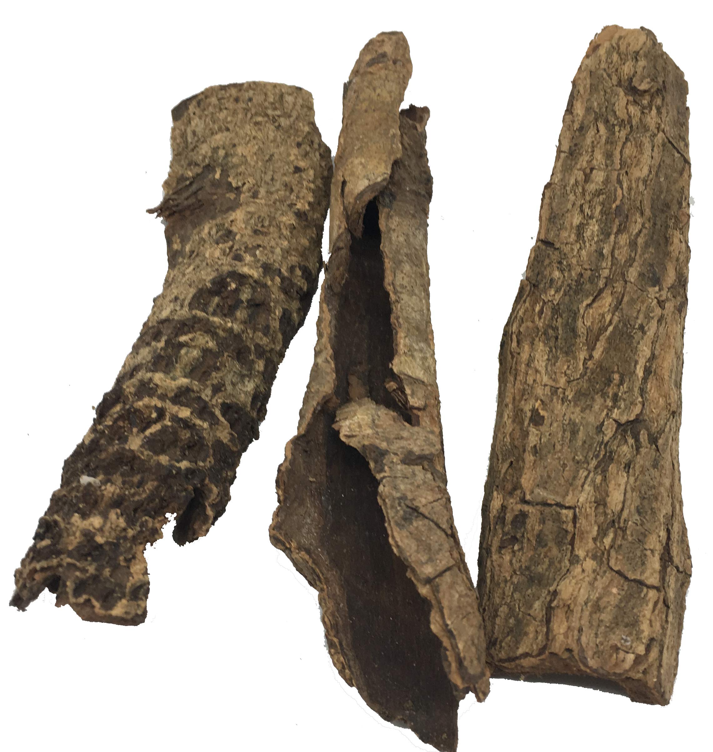 Awesome Aquatic cholla wood offers structure and hiding places for shrimp