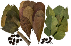 Awesome Aquatic mulberry leaves provide nutrients for shrimp and biofilm support