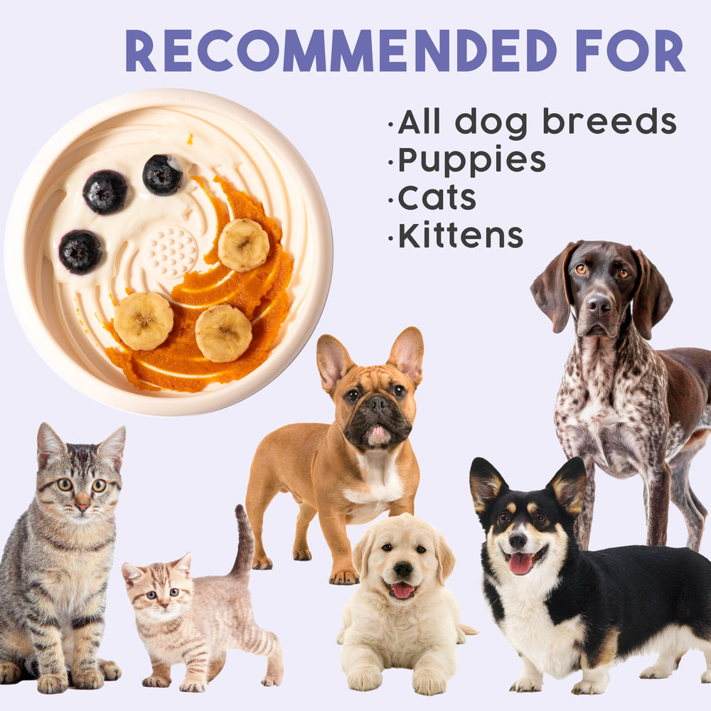 Awoo Lick Dish periwinkle enhances mealtime appeal with color