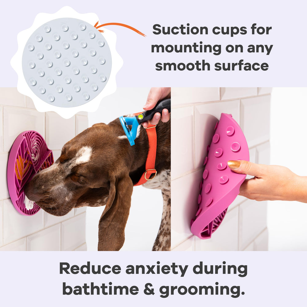 Awoo Paradise suction cups grip smooth floors for stable use