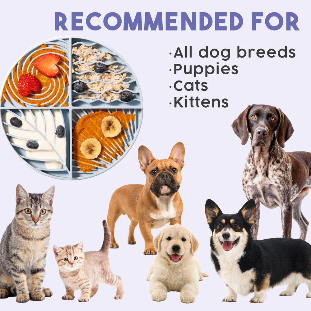 Awoo Paradise compatible with wet and dry foods