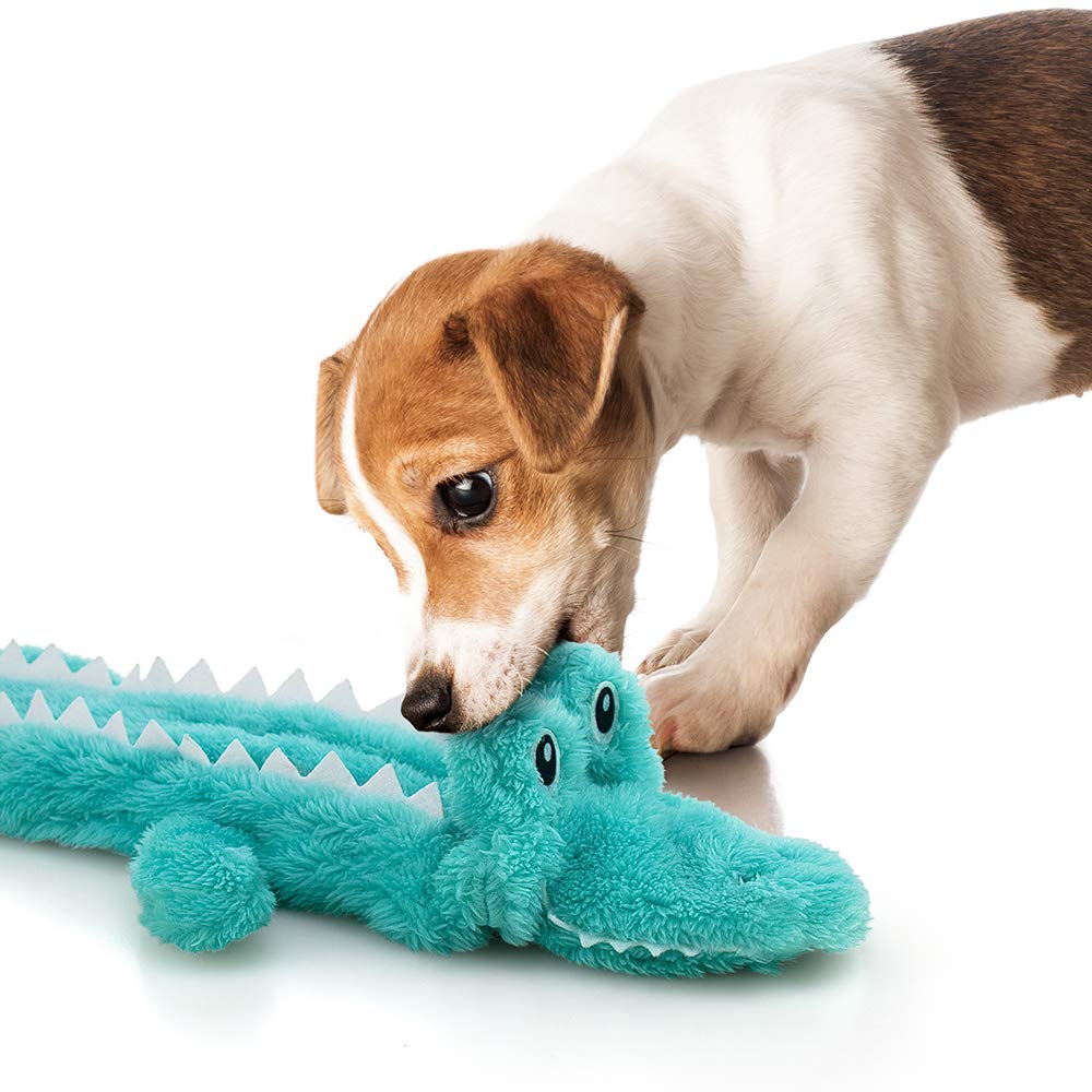 AWOOF durable chew toy set supports extended play sessions without mess.
