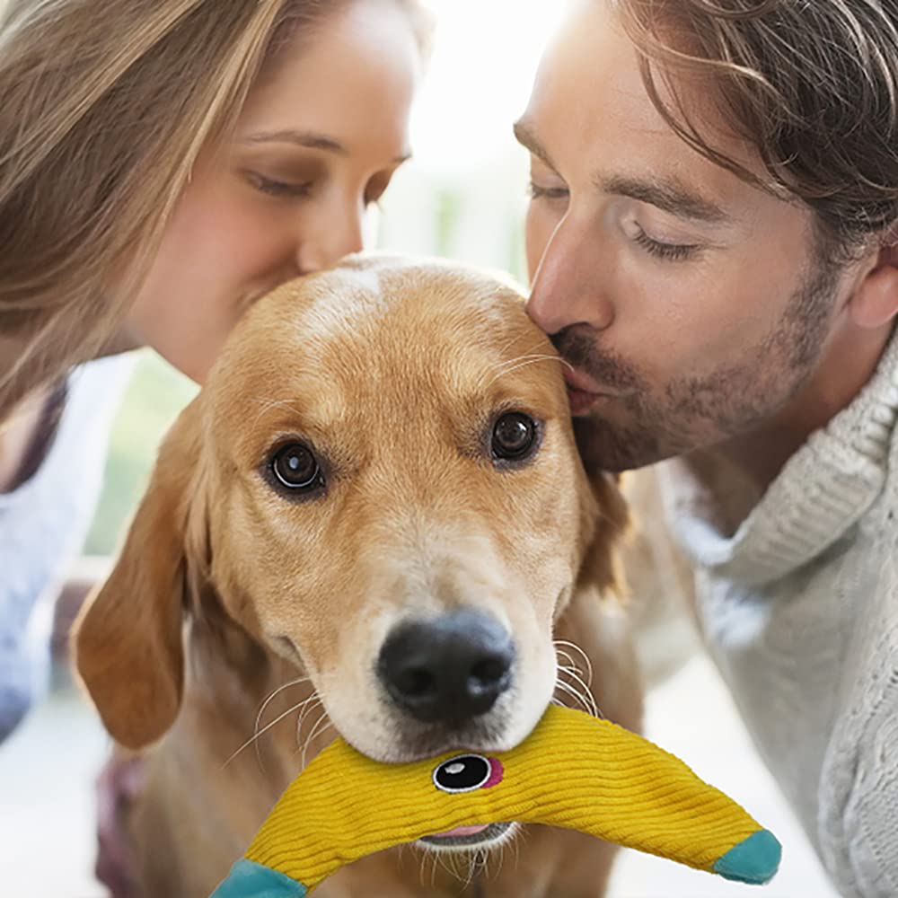 AWOOF durable seams dog toy with reinforced stitching for lasting use