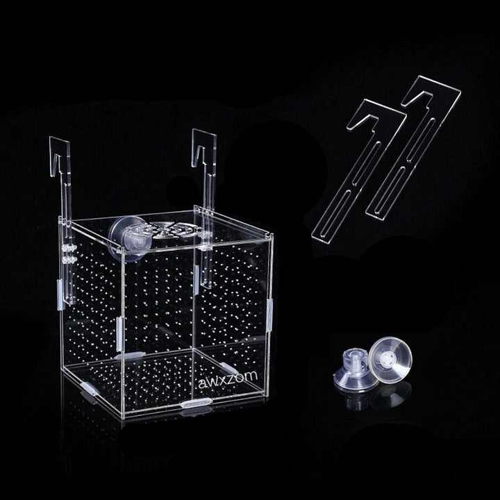 AWXZOM acrylic fish breeding box assembled for safe, clear observation.