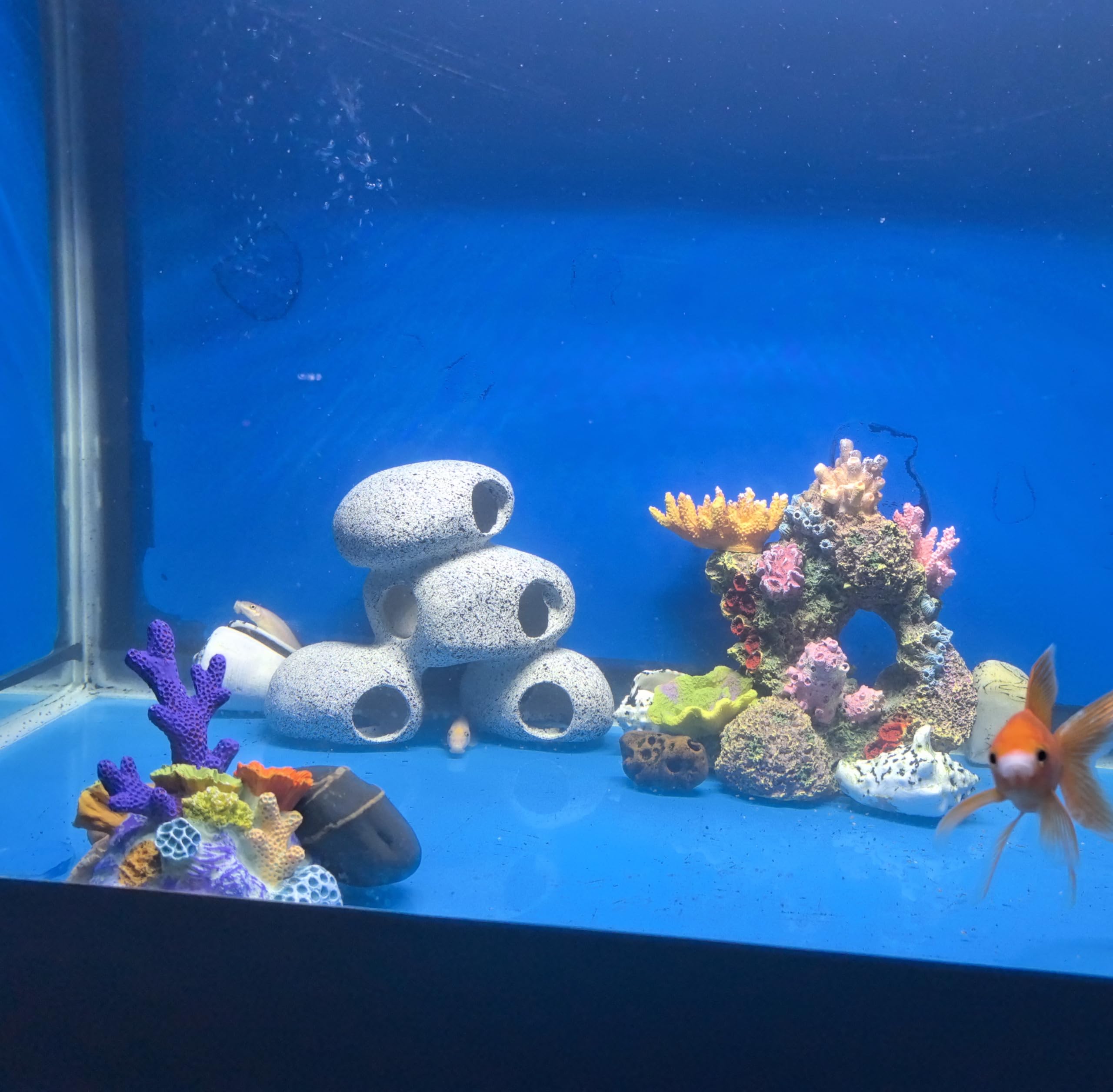 AWXZOM artificial moss accent enhances color and realism in your tank.