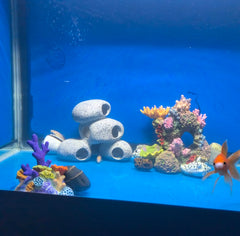 AWXZOM artificial moss accent enhances color and realism in your tank.