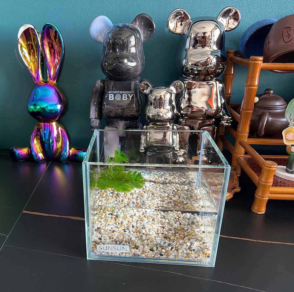 AWXZOM betta fish habitat supports small species and decorative setups.