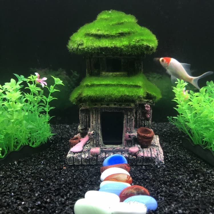 AWXZOM betta tank habitat offers shelter and play