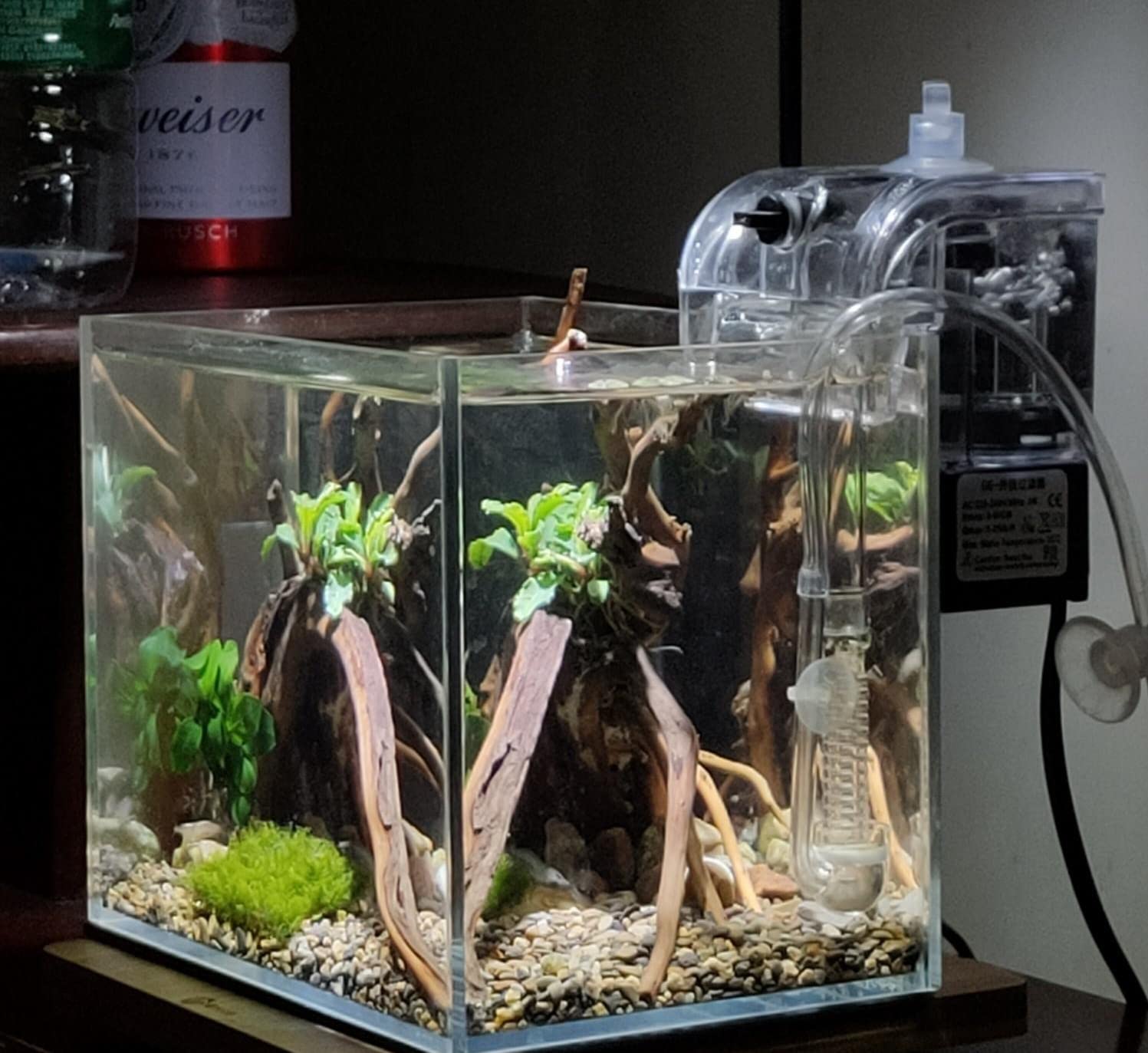 AWXZOM clear glass aquarium ready for decor, plants, and small species.
