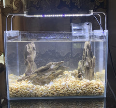 AWXZOM dragon rock mixed sizes decor improves tank texture and depth.