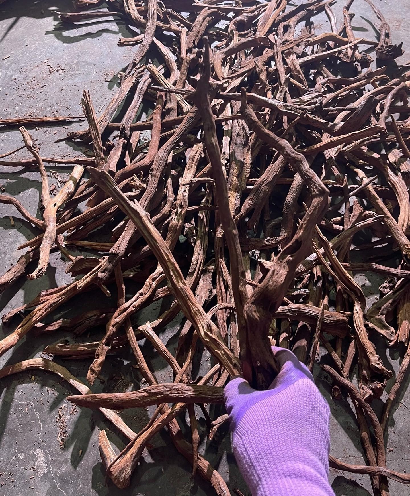 AWXZOM driftwood branch natural decor suitable for fish tanks and terrariums.