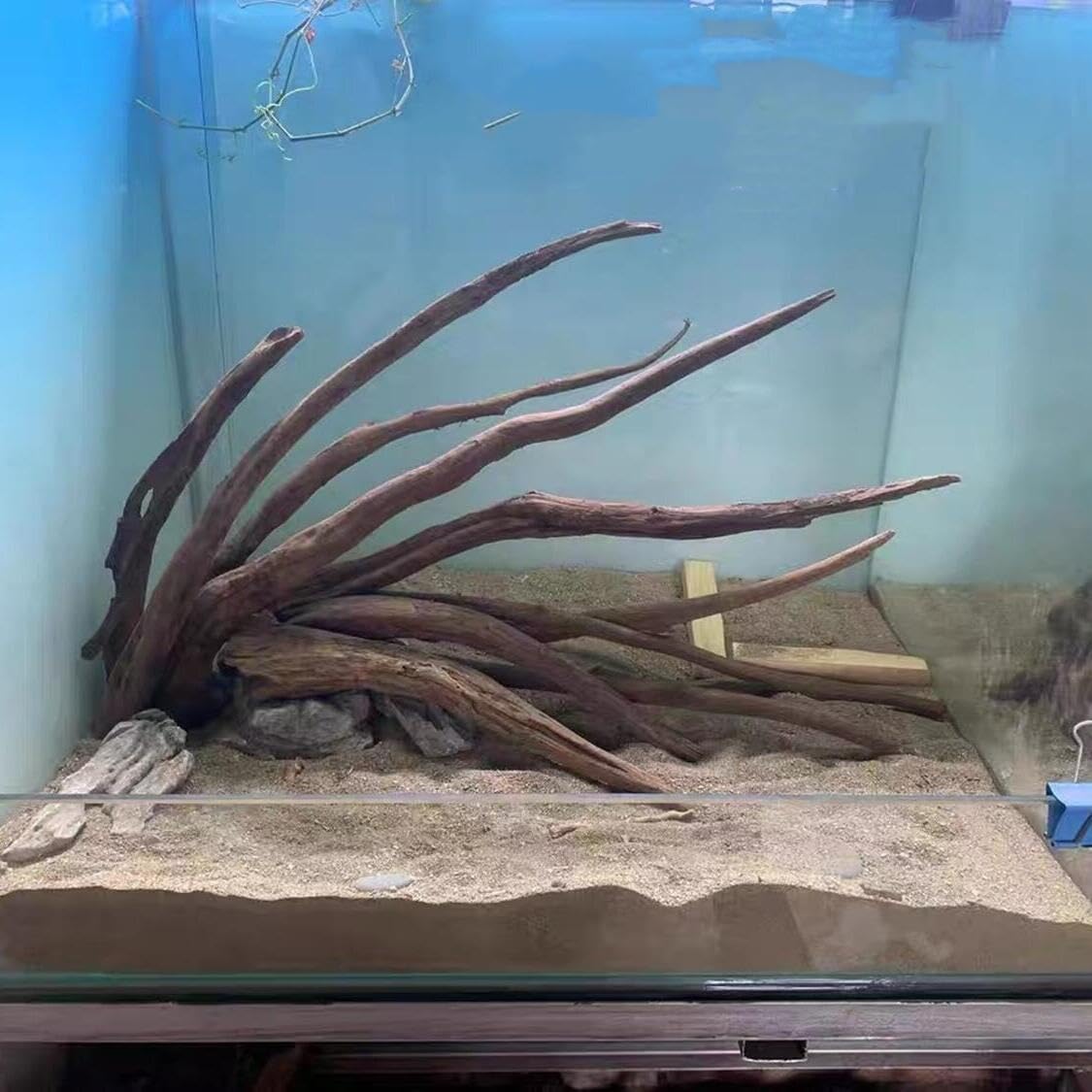 AWXZOM driftwood branch prep process showing cleaning and soaking steps.