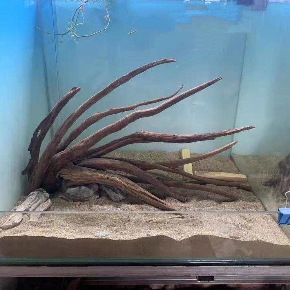 AWXZOM driftwood branch prep process showing cleaning and soaking steps.