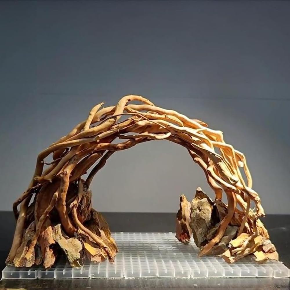 AWXZOM driftwood rock cave centerpiece adds rustic focal point to your aquarium.