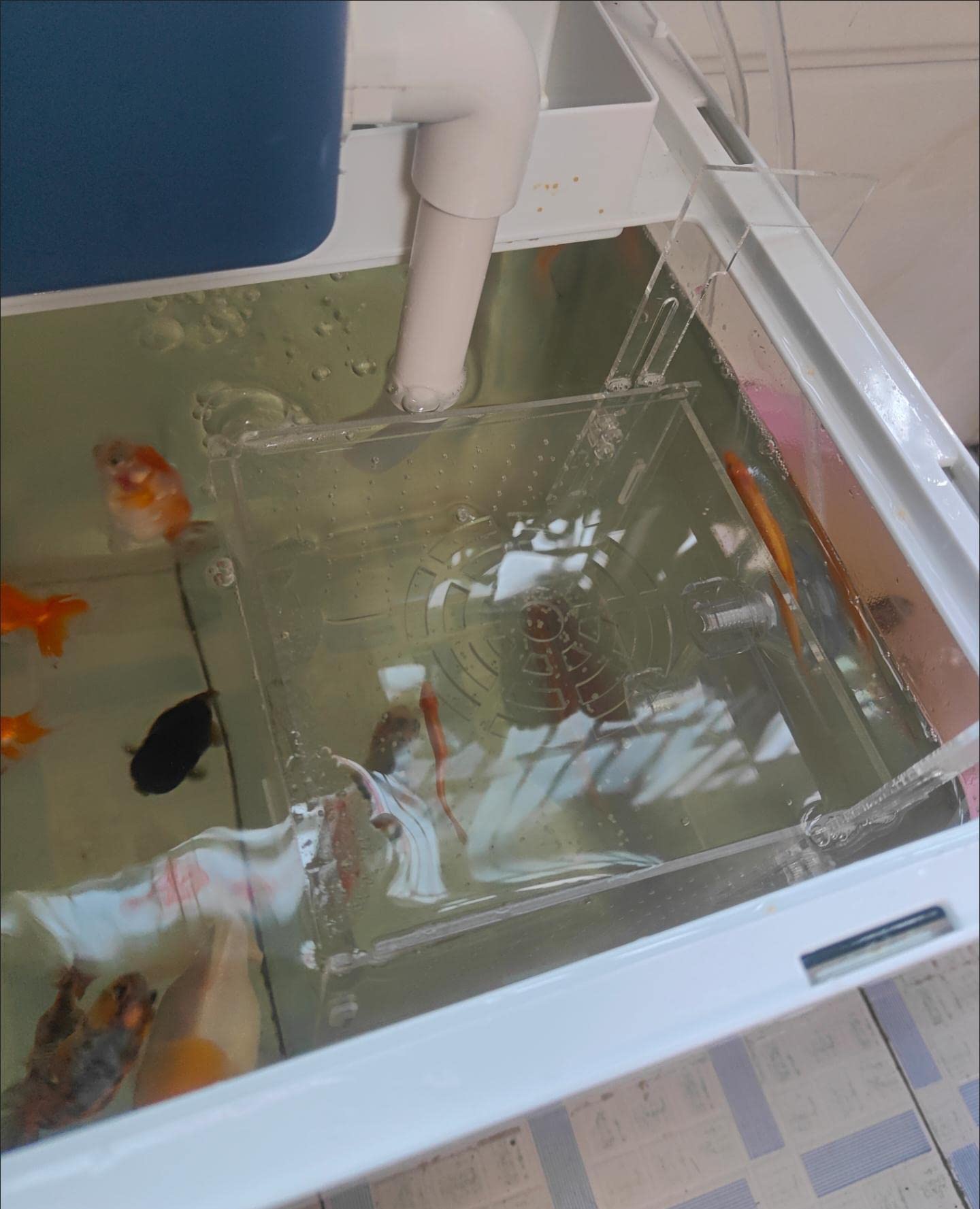 AWXZOM easy suction cup fixation on tank glass.