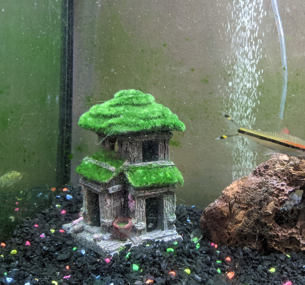AWXZOM fish house size guide for small tanks