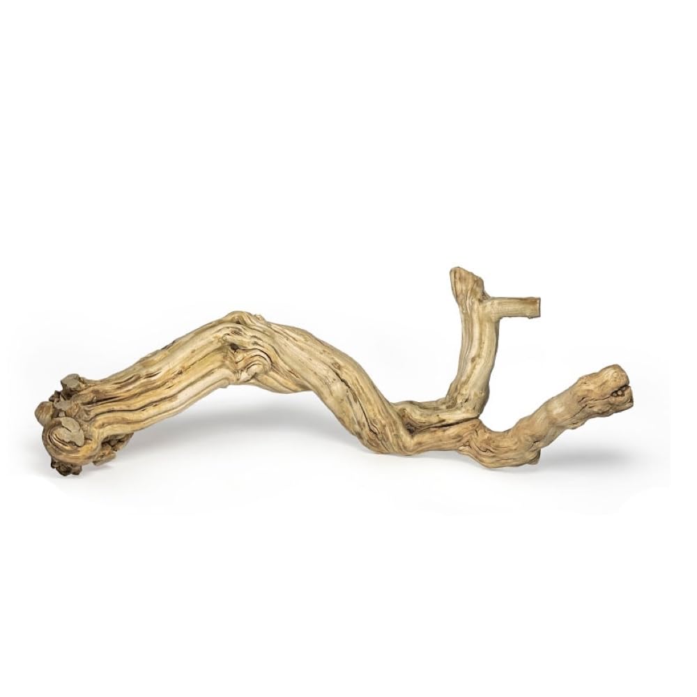 AWXZOM grapewood reptile branch 15-17 inch showing natural texture for climbing enrichment