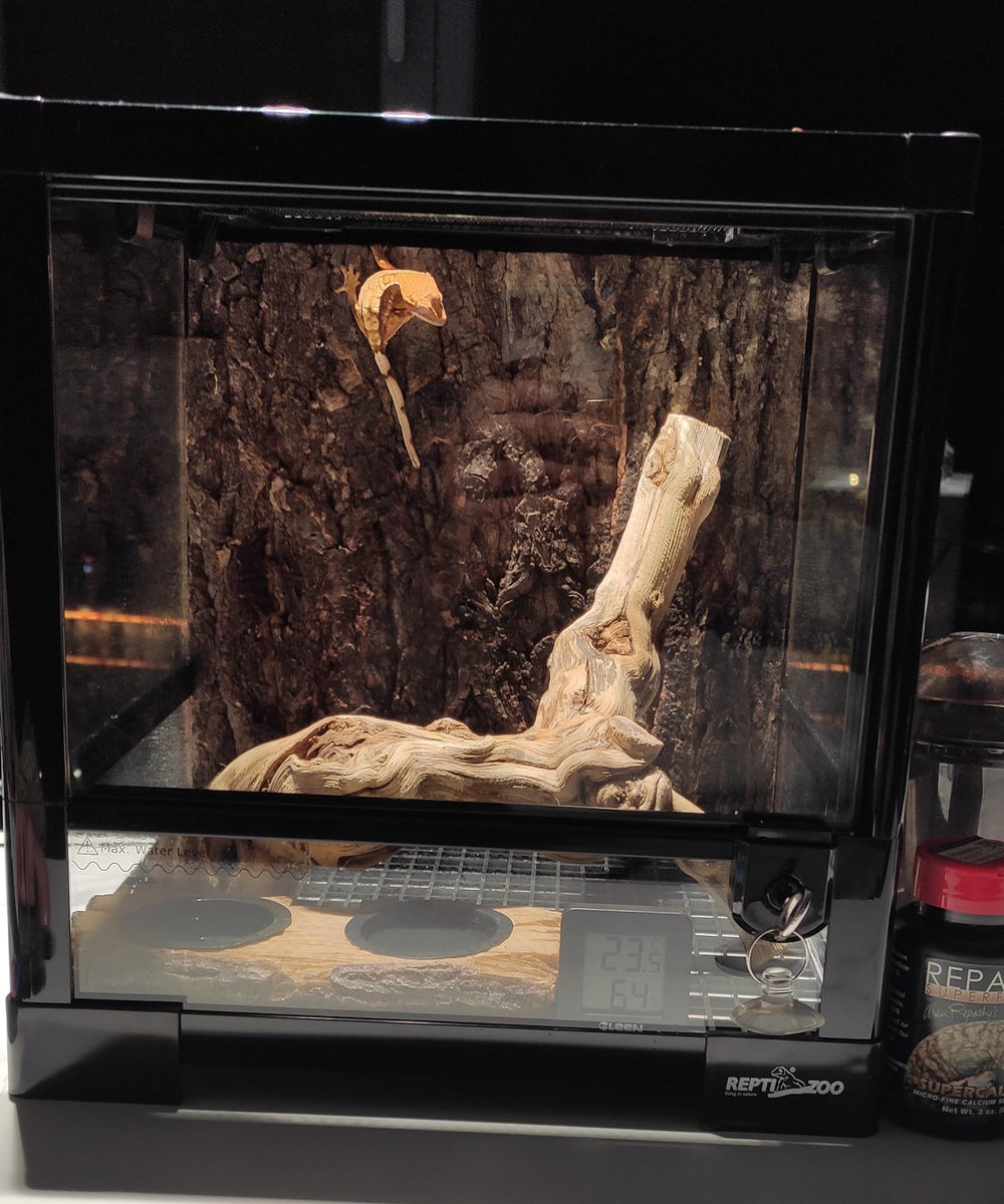 AWXZOM polished reptile log branch enhances enclosure decor and enrichment