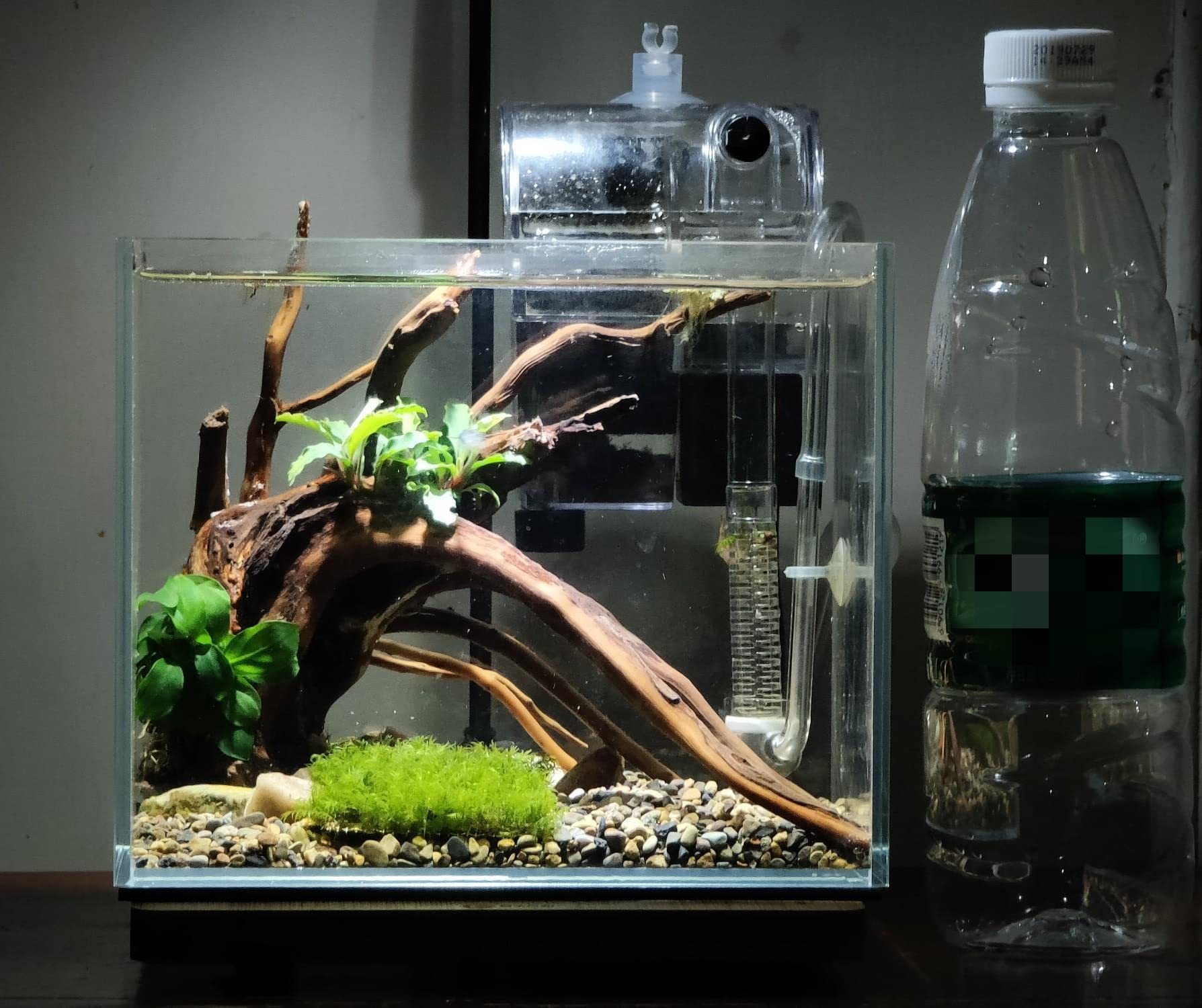 AWXZOM landscape-ready nano tank demonstrates versatile setup options for diverse life.