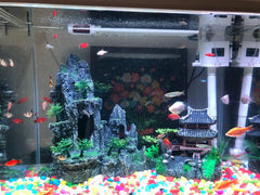 AWXZOM Large aquarium decor kit for standout tank setups