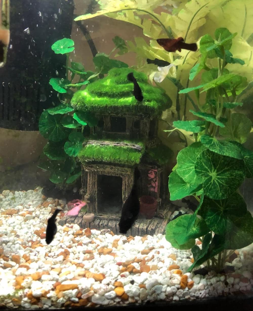 AWXZOM lifelike moss detail boosts tank realism