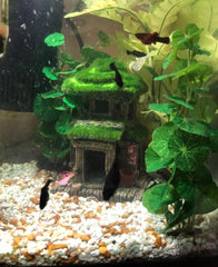 AWXZOM lifelike moss detail boosts tank realism