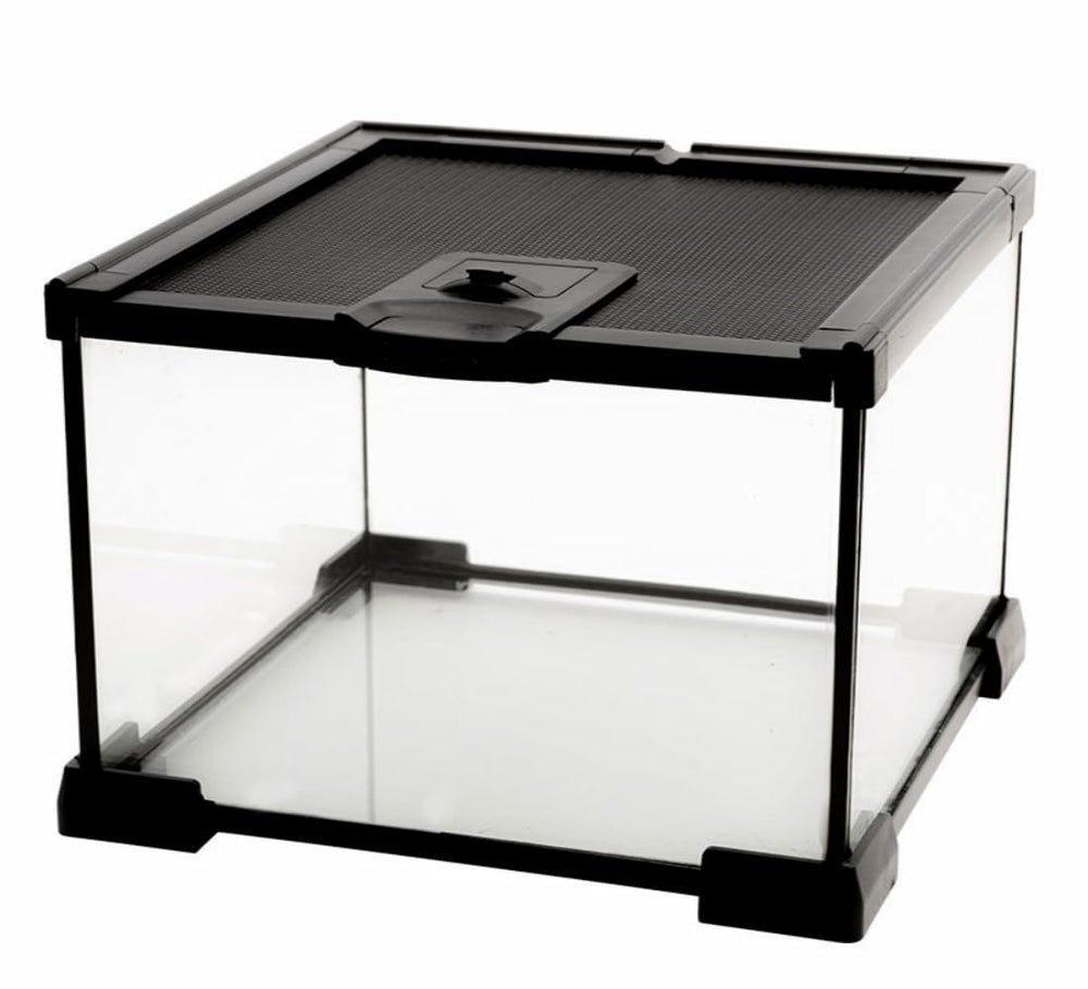 AWXZOM mini glass terrarium front view provides a clear window for easy pet observation.