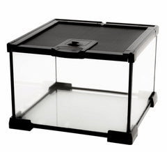 AWXZOM mini glass terrarium front view provides a clear window for easy pet observation.