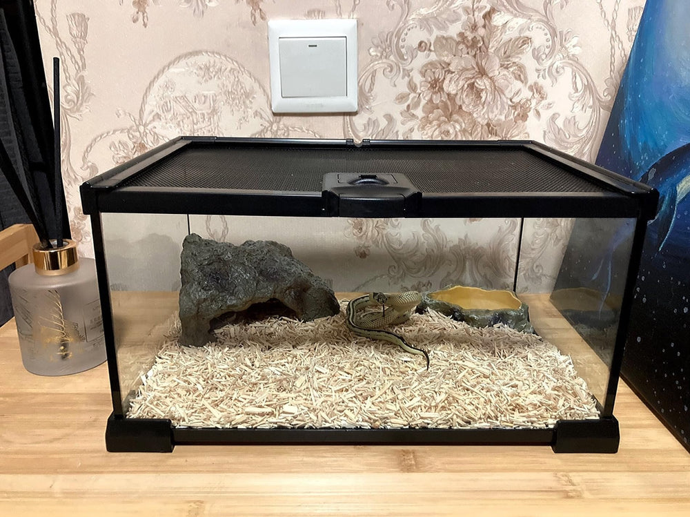 AWXZOM mini reptile glass terrarium clear glass supports natural light and viewing