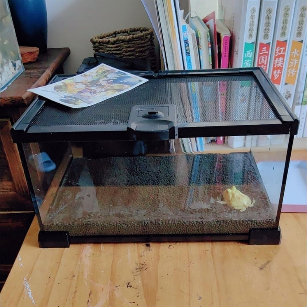 AWXZOM mini reptile glass terrarium close-up front view for easy cleaning access
