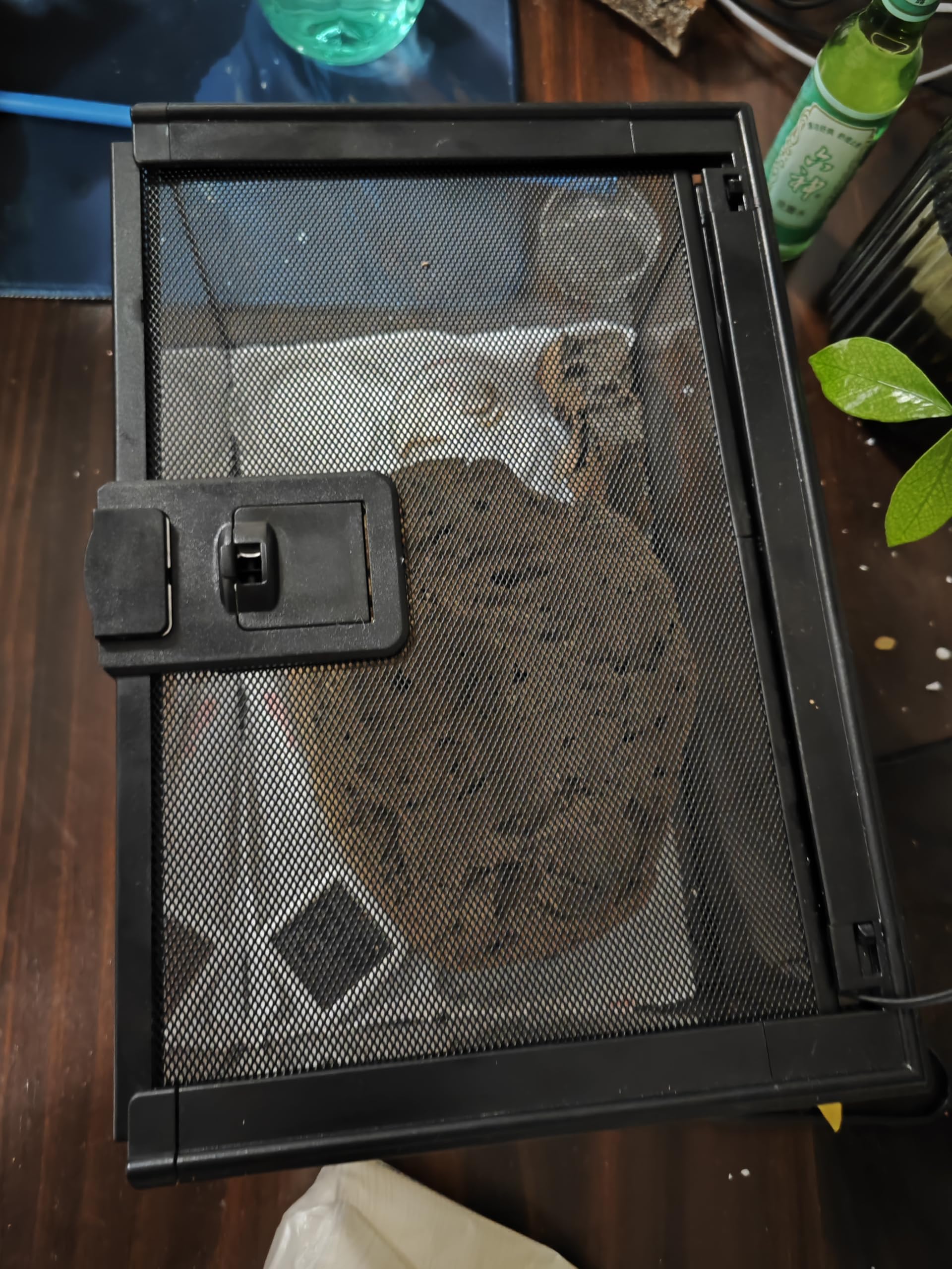 AWXZOM mini reptile glass terrarium compact design suitable for desks and shelves