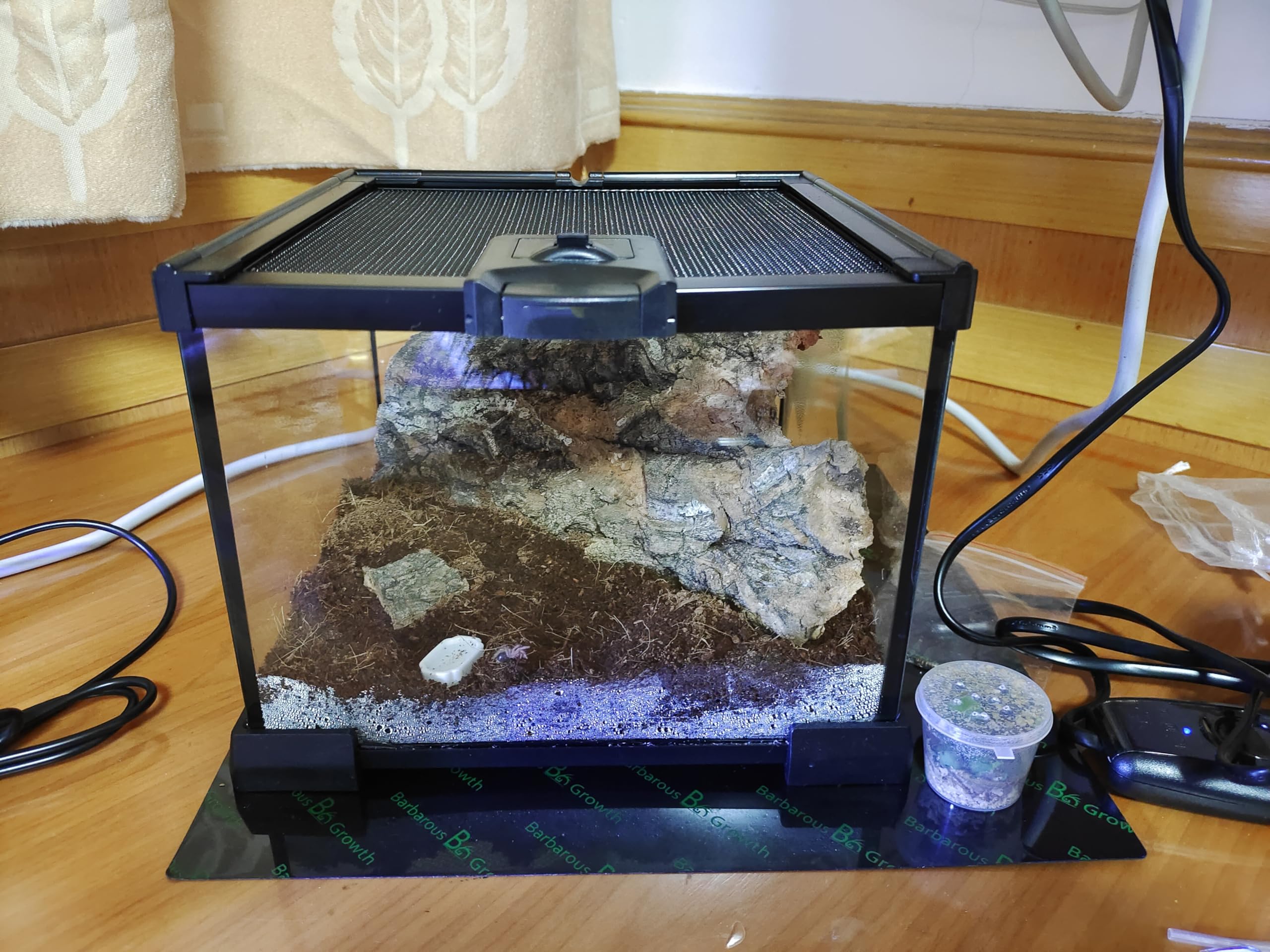 AWXZOM mini terrarium measures 7.9x7.9x5.7 inches for compact desktops.