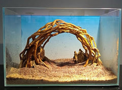 AWXZOM moss-ready hardscape supports plant growth for lush underwater gardens.