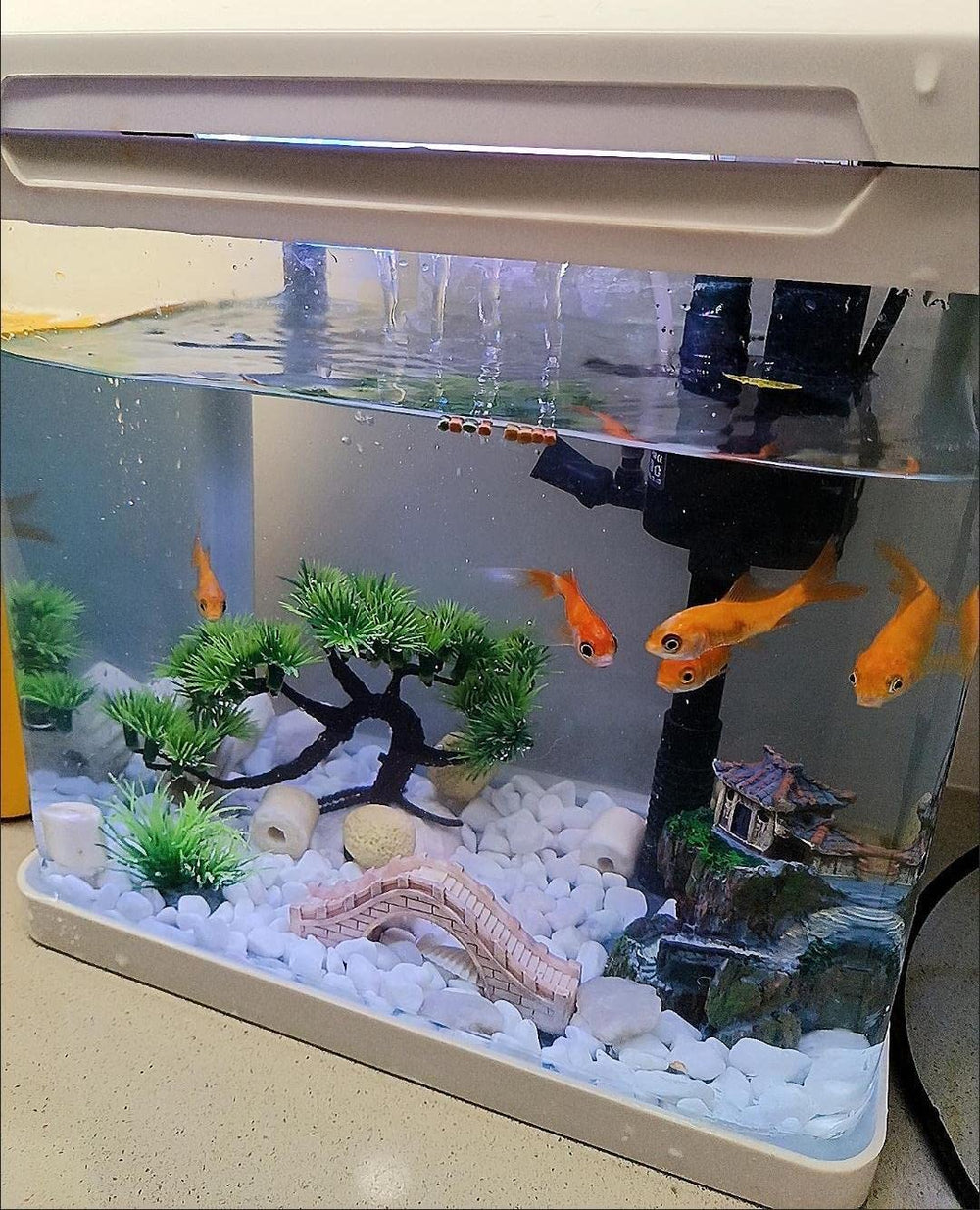 AWXZOM rockery adds natural texture and hiding spots for fish.