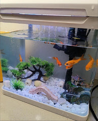 AWXZOM rockery adds natural texture and hiding spots for fish.