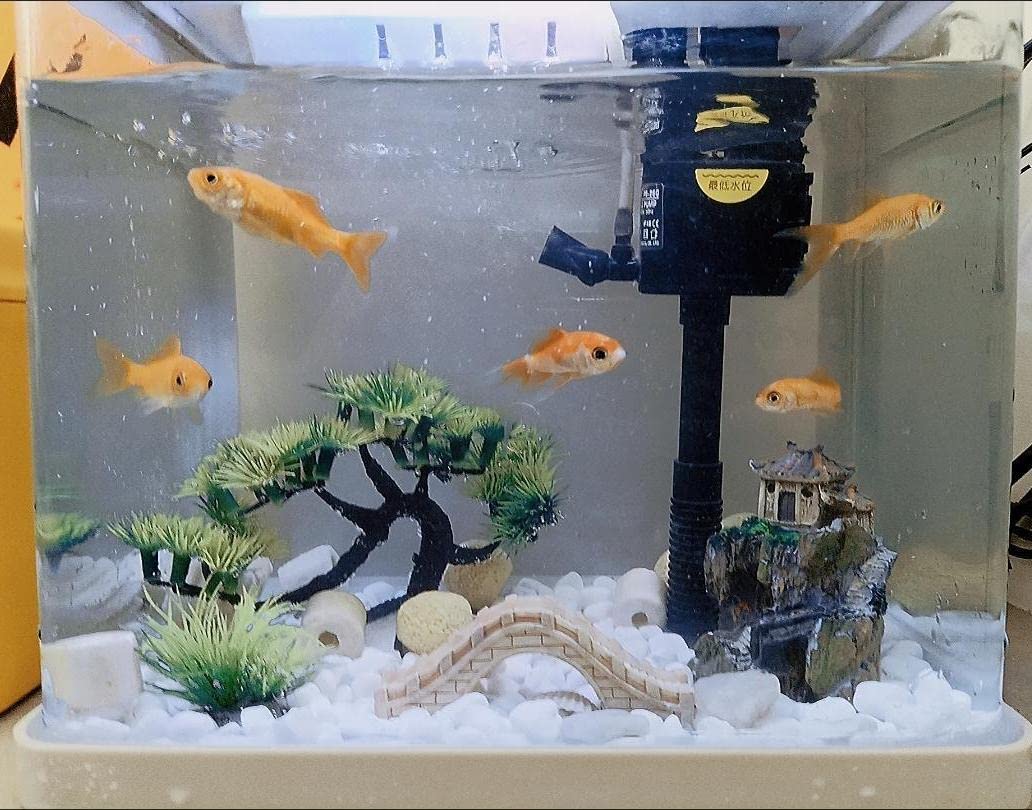 AWXZOM six-piece set for simple, quick tank decoration in small aquariums.