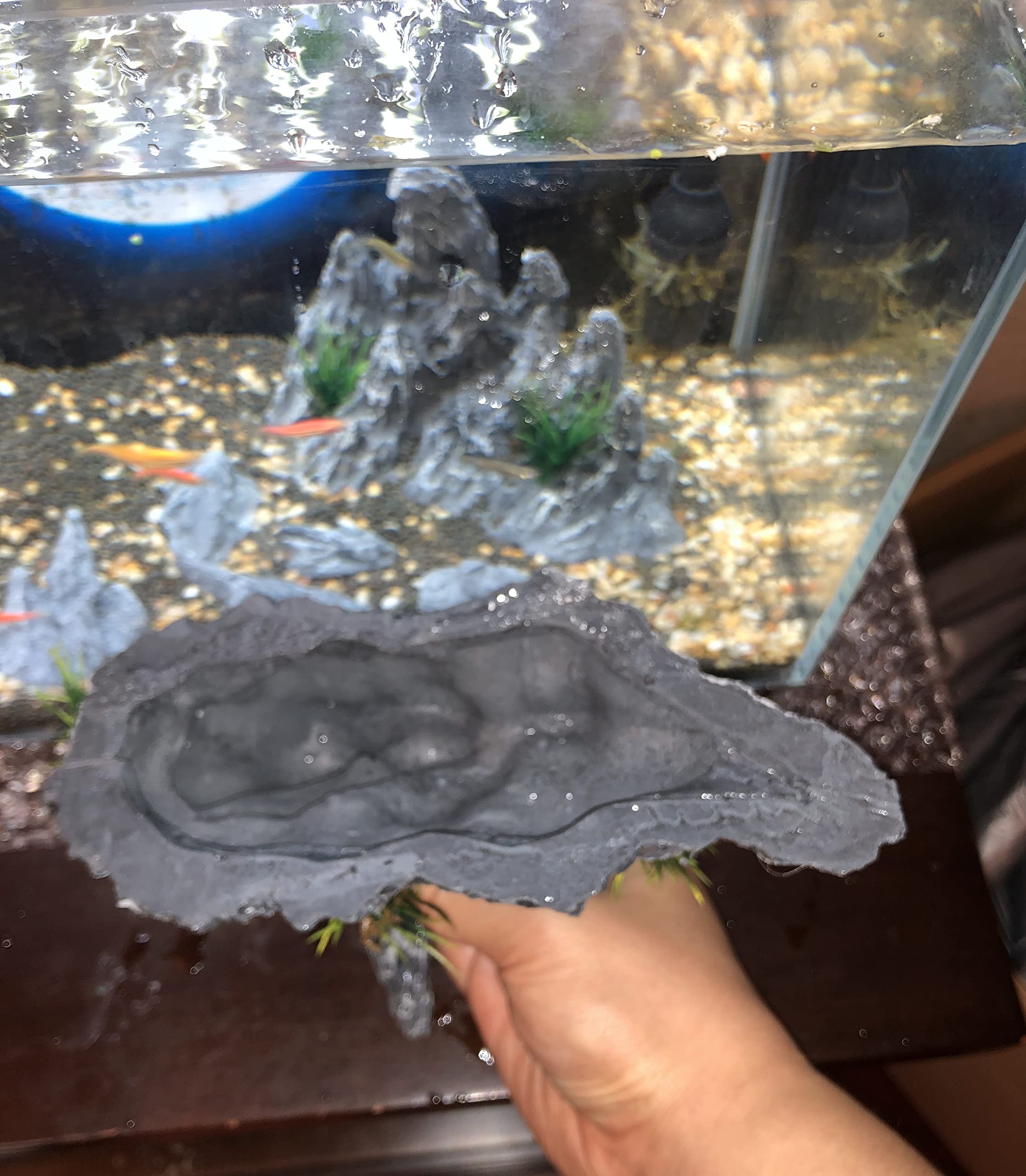 AWXZOM Soul Valley rocks help craft a tranquil valley vibe in tanks